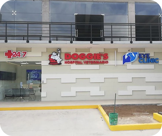 Fachada de Doggie's Hospital Veterinario, destacando su servicio disponible 24/7 en Monterrey. En la foto también se puede ver a su aliado Eye Clinic